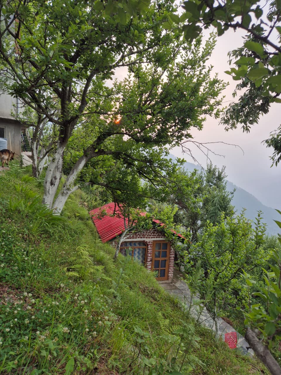 Deluxe Cottage Exterior
